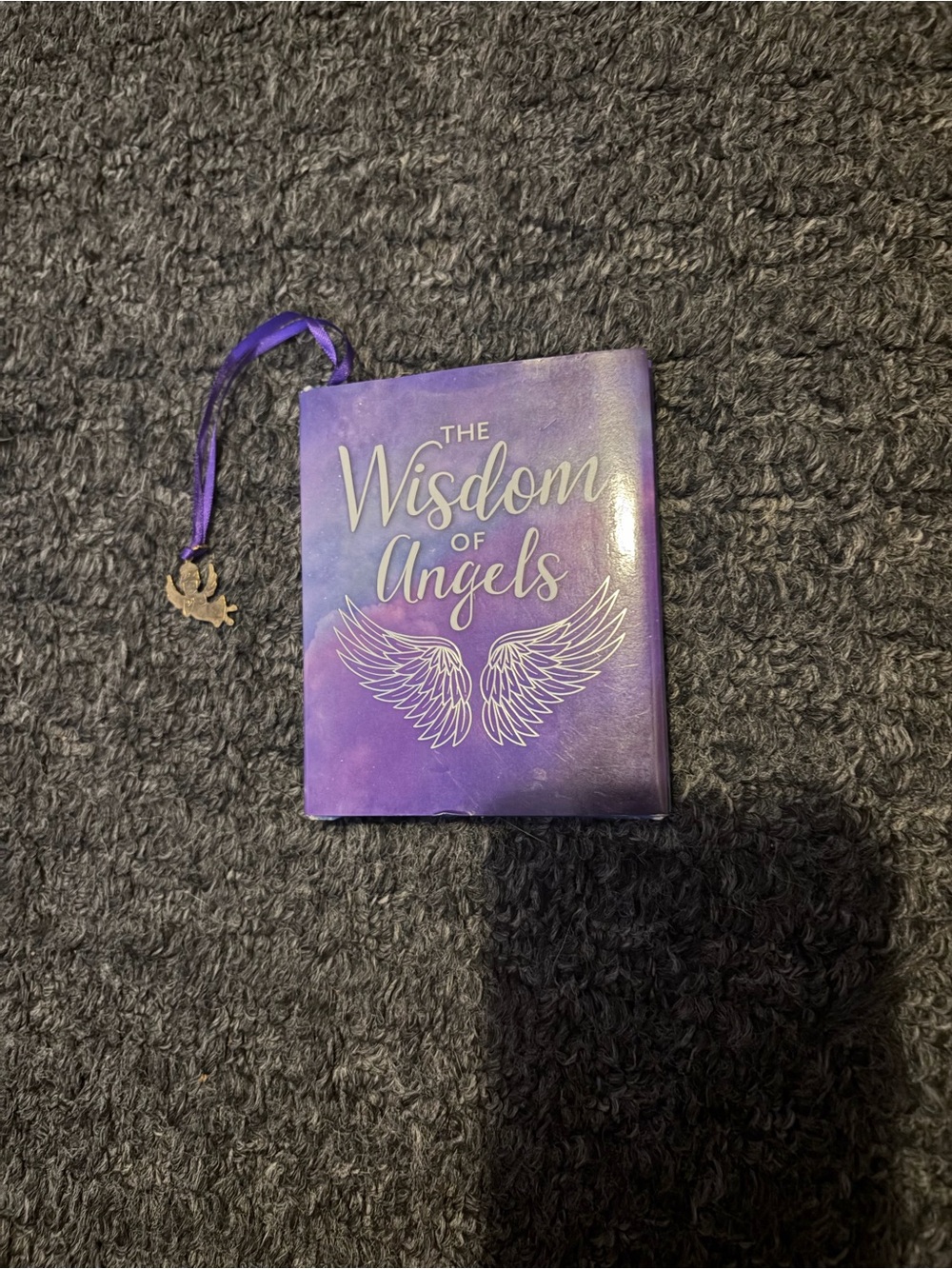 The wisdom of angels book